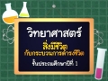 วิทยาศาสตร์ ป.1 สิ่งต่างๆ รอบตัวเรา